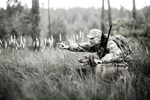 hunting