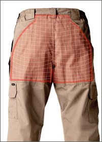 pants the back details