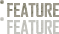 FEATURE